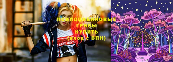 соль ск Мегион