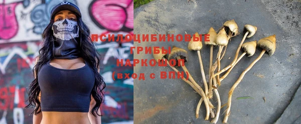 стафф Абинск