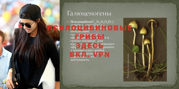 стафф Абинск